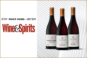 Wine & Spirits Edouard Delaunay Top 50 Pinot Noirs 
