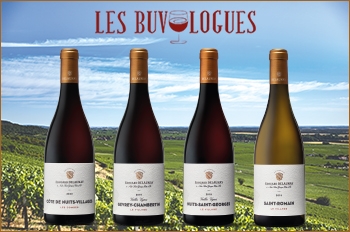 Les Buvologues Edouard Delaunay Villages Bourgogne 
